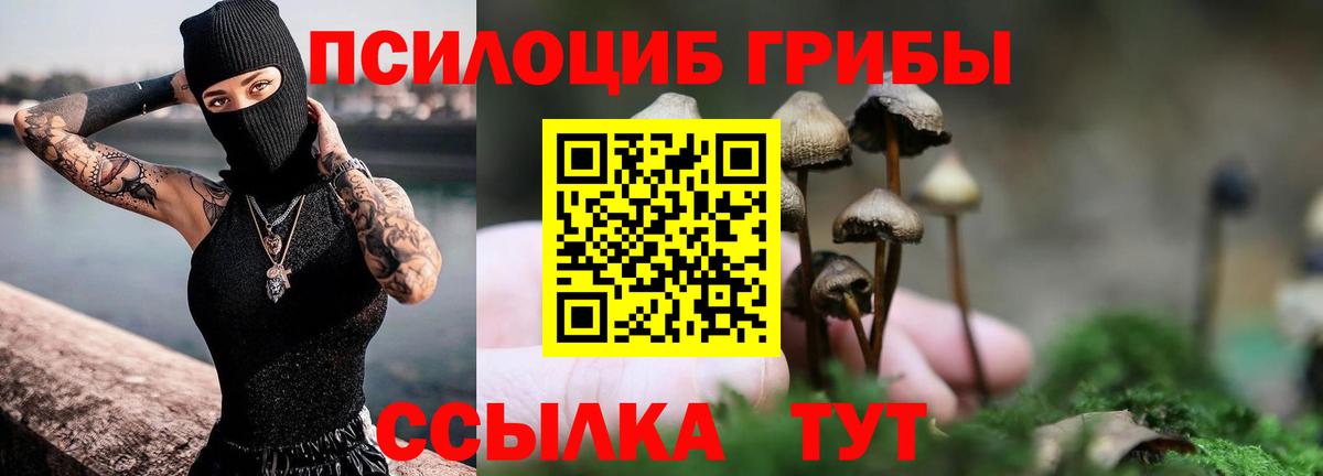 Псилоцибиновые грибы мицелий Искитим